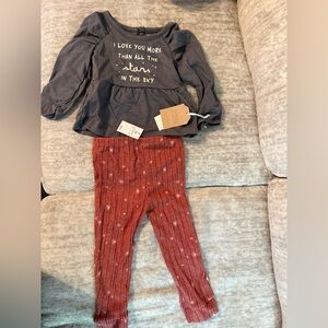 Gray and Rust Colored 2 Piece Toddler Outfit